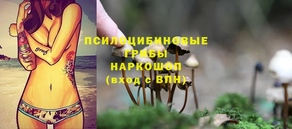 трава Алзамай