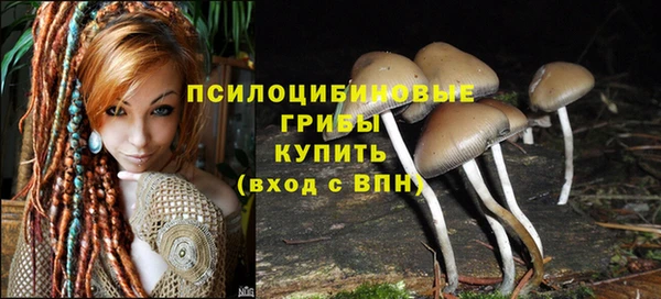трава Алзамай