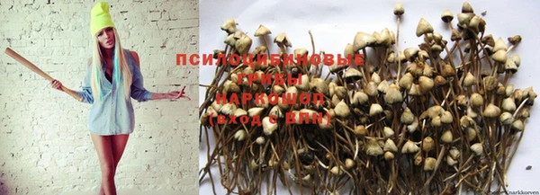 spice Алексеевка