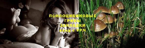 spice Алексеевка